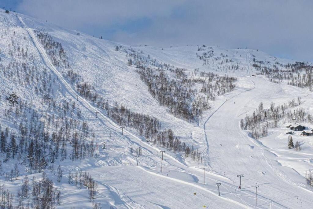 Apartamento Leilighet - Panorama View - Sogndal Skisenter Hodlekve Exterior foto